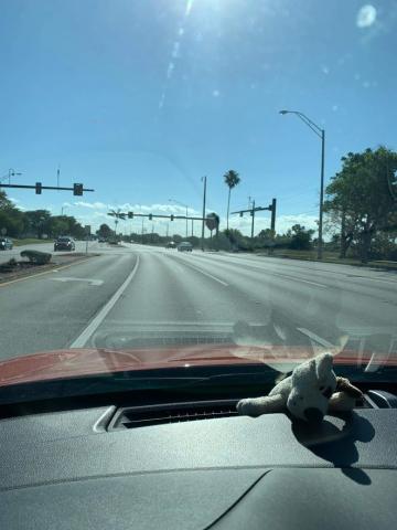 Imagem feita dentro de carro percorrendo estrada vazia. No console do carro há um bichinho de pelúcia. #Paratodosverem