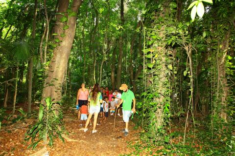 Crianças percorrem trilha em meio a área verde. #Pracegover