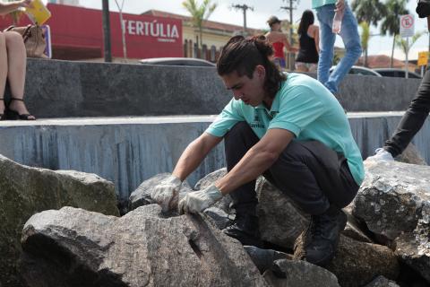 técnico coloca veneno em pedras #paratodosverem 