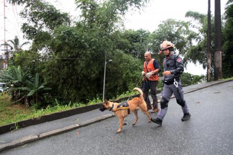 bombeiro e membro da defesa civil caminham com cachorro #paratodosverem