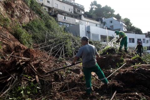 operários retiram árvores #paratodosverem