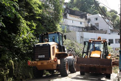 escavadeiras atuam retirando árvores #paratodosverem