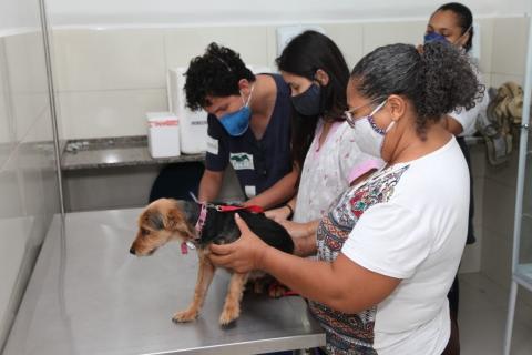 Quatro pessoas acompanham a vacinação de um cachorro. #Paratodosverem