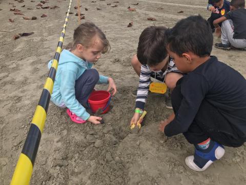 crianças procuram coisas na areia #pracegover 