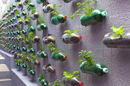 vários vasos de plantas feitos em garrafas pet. #paratodosverem