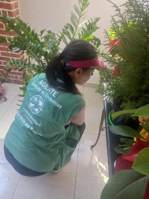 agente uniformizada observa plantas em vasos. #paratodosverem