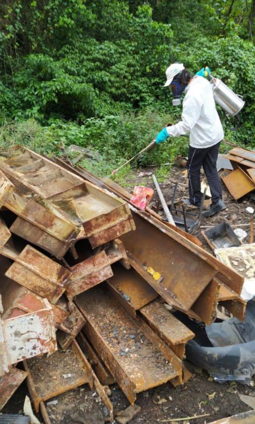 Inseticida é aplicado em ferro-velho #paratodosverem