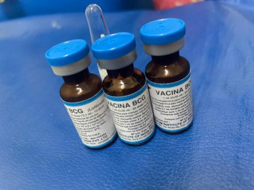 três frascos de vacina BCG