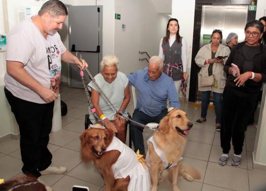 cães com idosos em hospital #paratodosverem