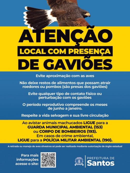 card do evento #paratodosverem 
