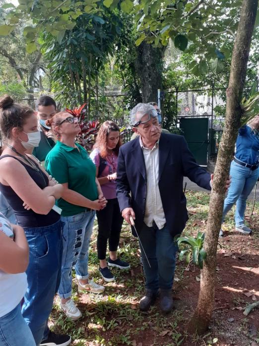 homem está apontando para árvore em área de vegetação. Pessoas em volta estão olhando. #paratodosverem