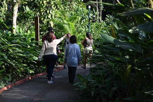 pacientes andando no orquidário #paratodosverem 