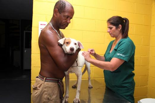 cão é segurado pelo dono enquanto é vacinado #paratodosverem 
