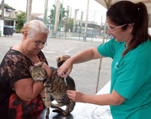 gato é vacinado no colo de senhora #paratodosverem 