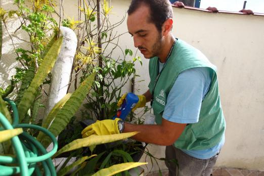 agente verifica focos de dengue em vaso #pracegover  