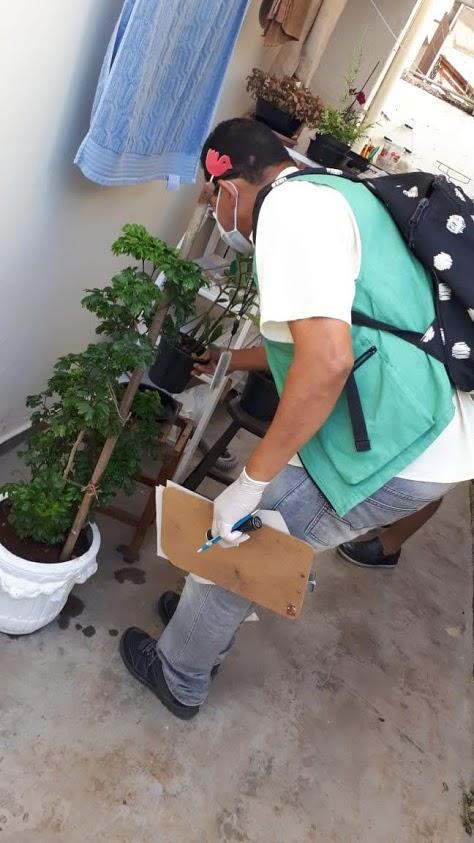 Agente paramentado com luvas e máscara examina vaso de plantas. #Paratodosverem