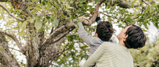 mulher levanta filho para que alcance galho #paratodosverem 