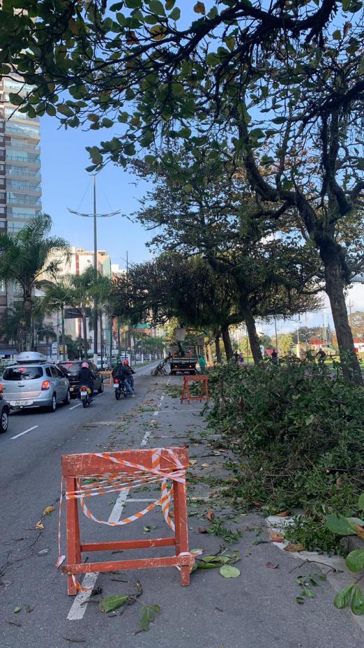 Galhos de árvore no chão em um canto da pista da praia. #paratodosverem