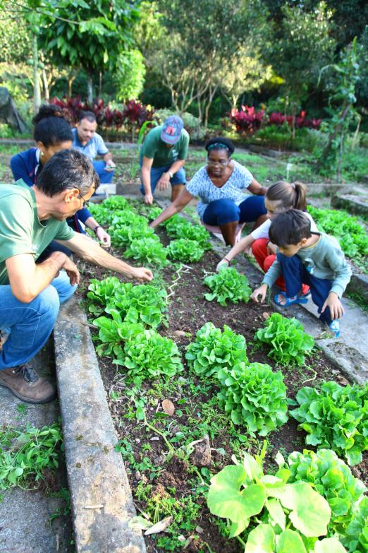 Canteiro com verduras. Crianças e adultos estão mexendo na terra e nas hortaliças. #Pracegover