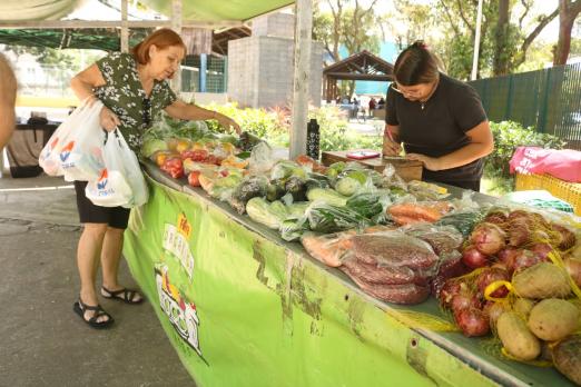 Mulher compra produtos na feira de orgânicos. #Paratodosverem