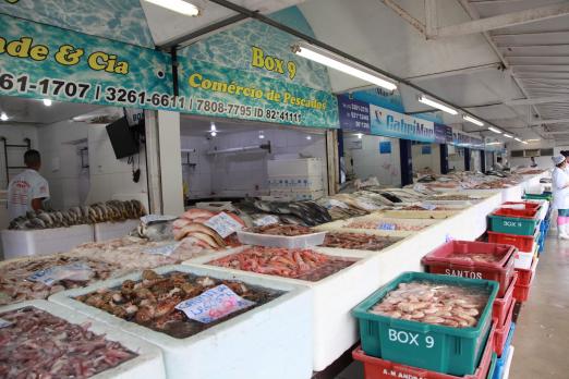 peixes expostos em barracas no mercado #pracegover 