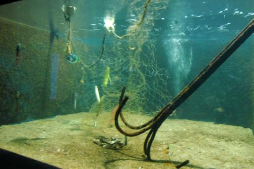 tanque com artigos de pesca deixados no mar e que podem ser prejudiciais à fauna. #paratodosverem