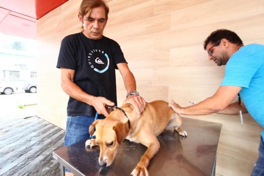 cachorro é vacinado #paratodosverem 