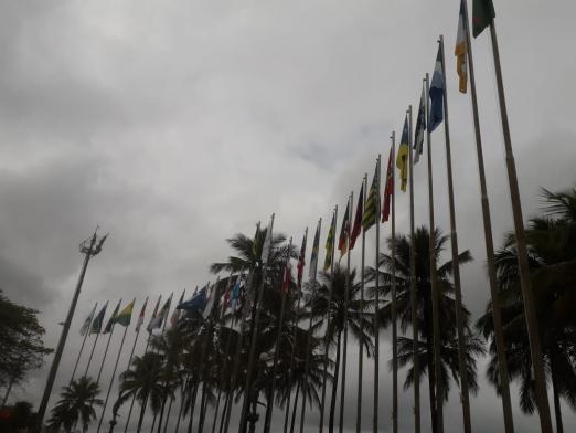 Bandeiras hasteadas na Praça das Bandeiras. Algumas palmeiras está à frente dos mastros. #Pracegover