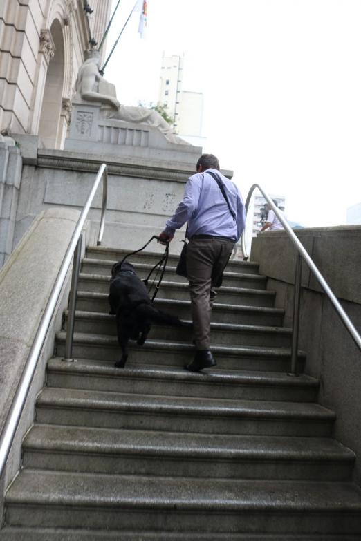 Deficiente visual subindo escada com cachorro guia #pracegover 
