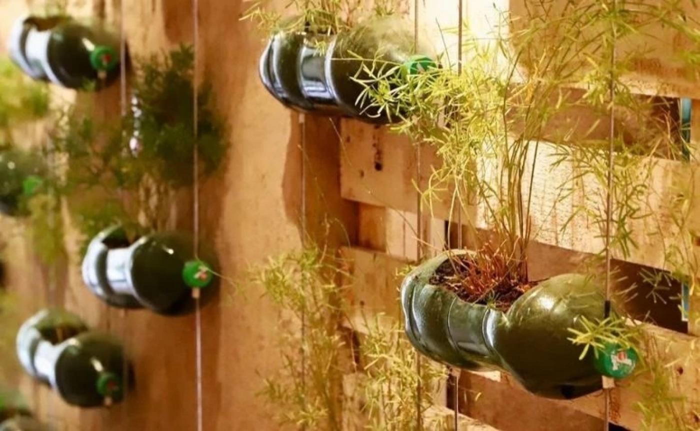 garrafas pet são usadas como vasos para plantas 