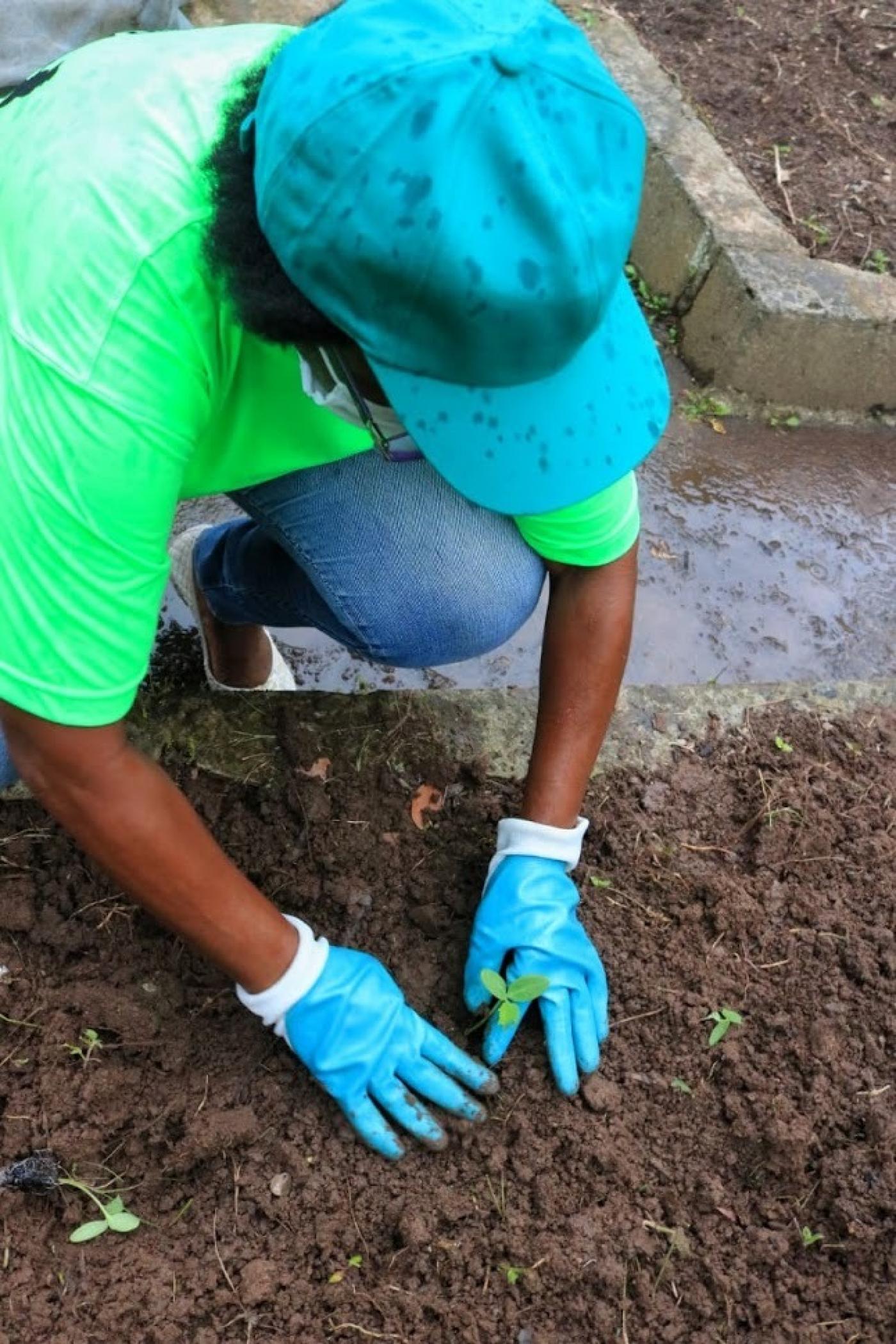 homem planta muda #paratodosverem