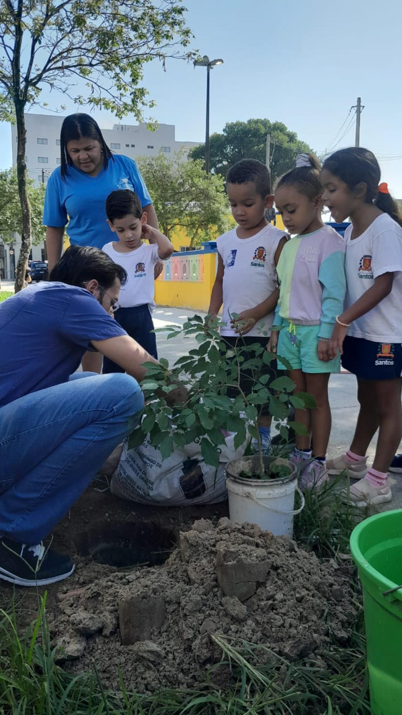 crianças acompanham plantio #paratodosverem