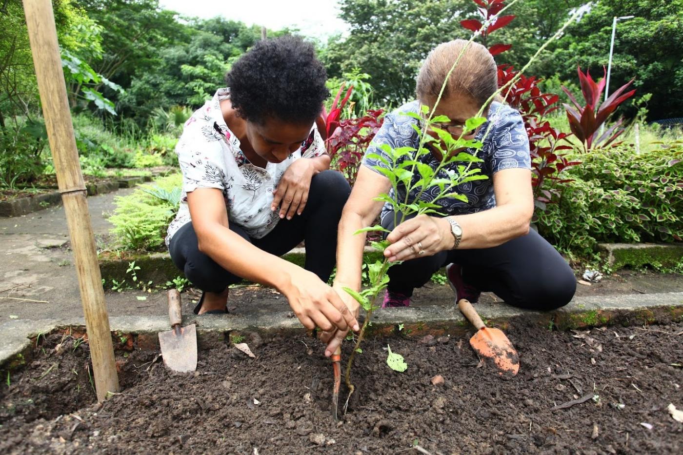 duas mulheres estão enterrando muda de planta em canteiro. #paratodosverem