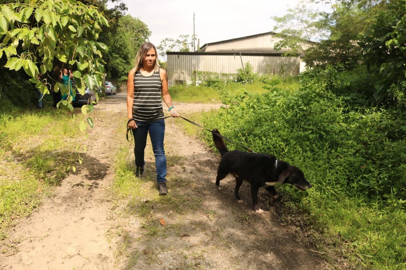 mulher passeia com cachorro #paratodosverem