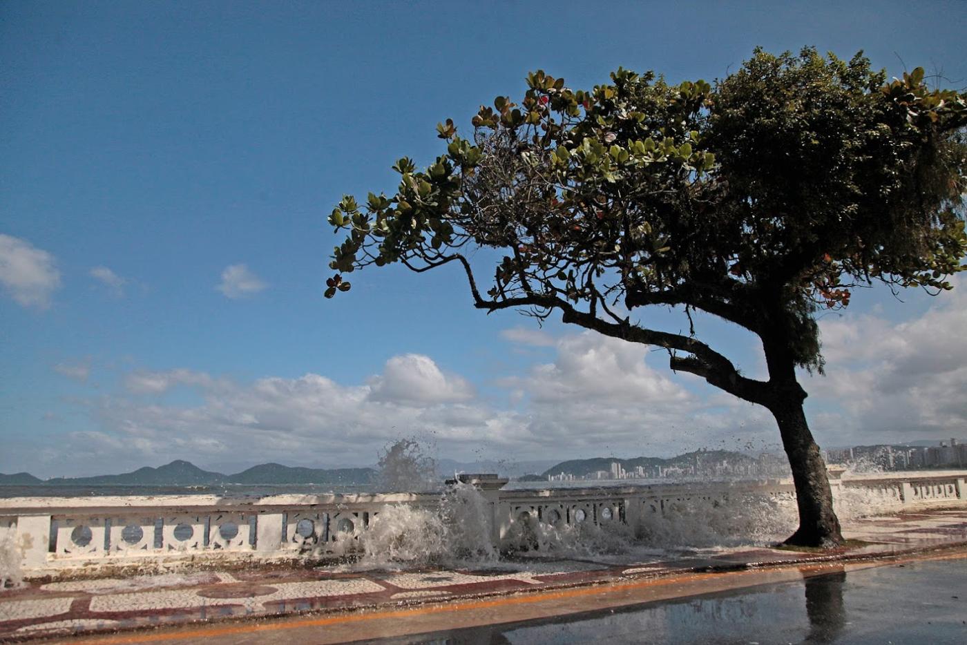 Mar bate na mureta da Ponta da Praia e avança para a calçada e pista. #Paratodosverem