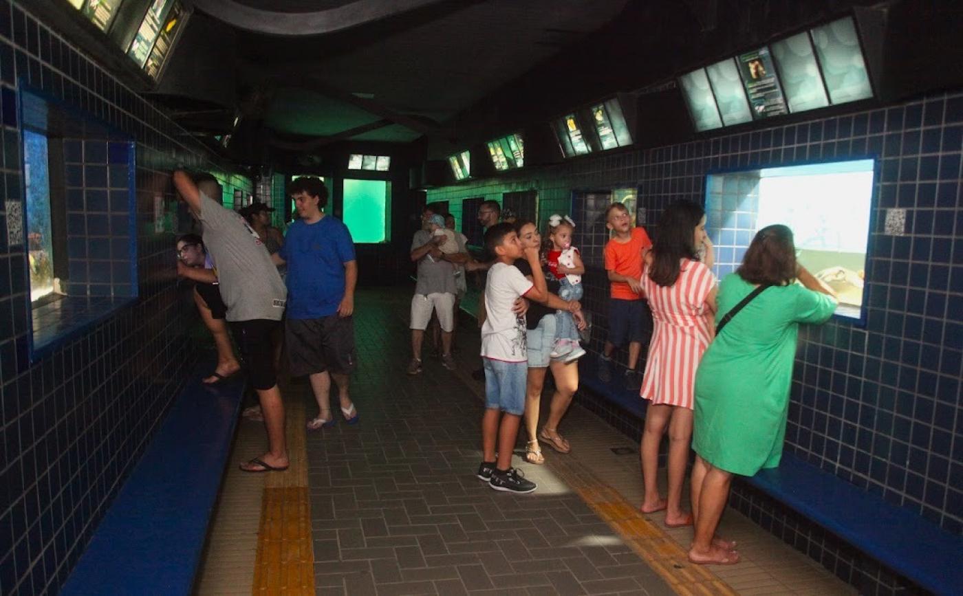 pessoas visitando o aquário #paratodosverem