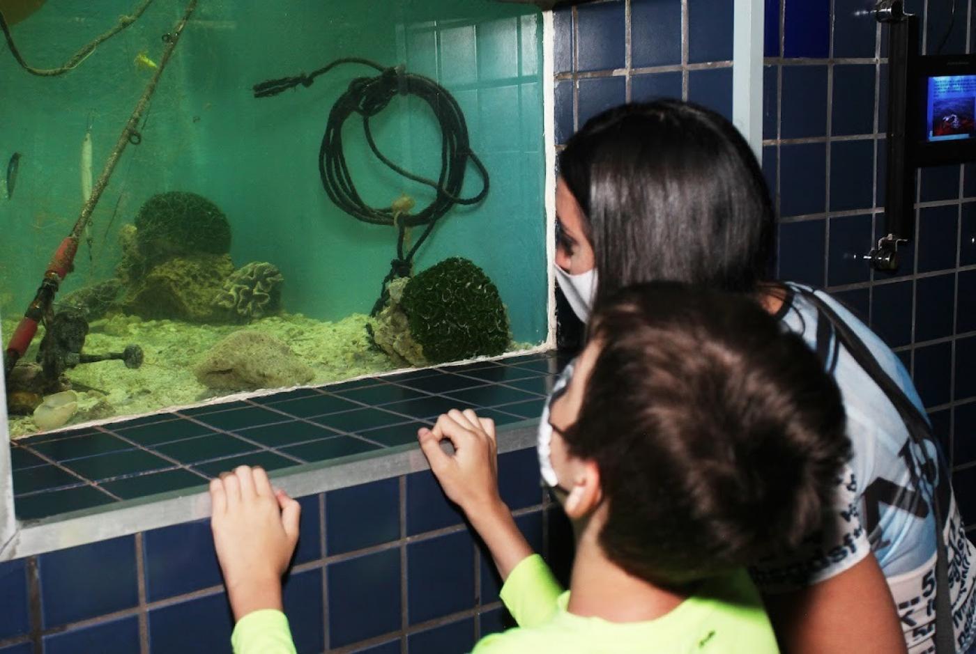 duas crianças observam tanque no aquário de santos com varas de pesca e materiais deixados no mar. #paratodosverem