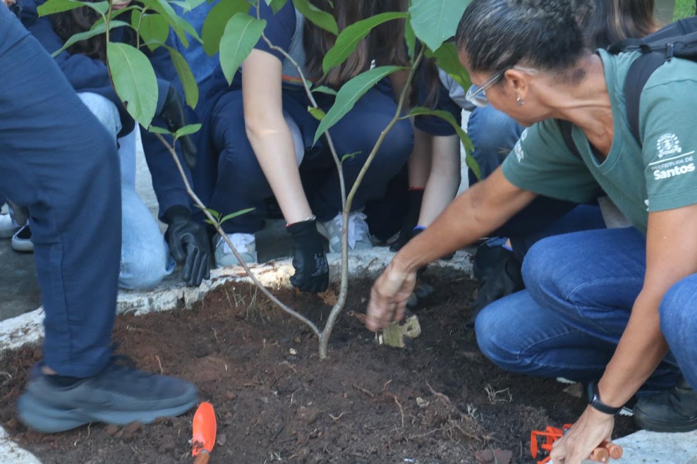 pessoas plantando arvores #paratodosverem
