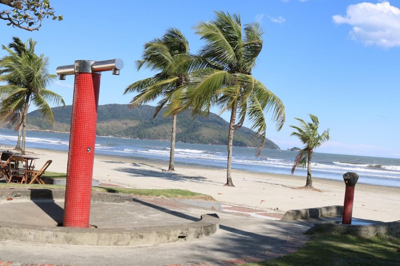 Folhas de árvores para um lado indicam passagem de vento forte. Foto é na areia da praia onde estão plantadas palmeiras. #paratodosverem