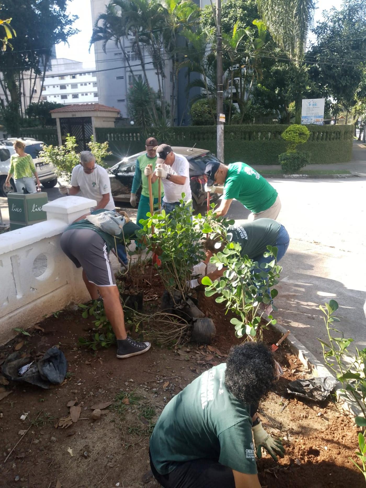 voluntários plantando mudas #paratododsverem