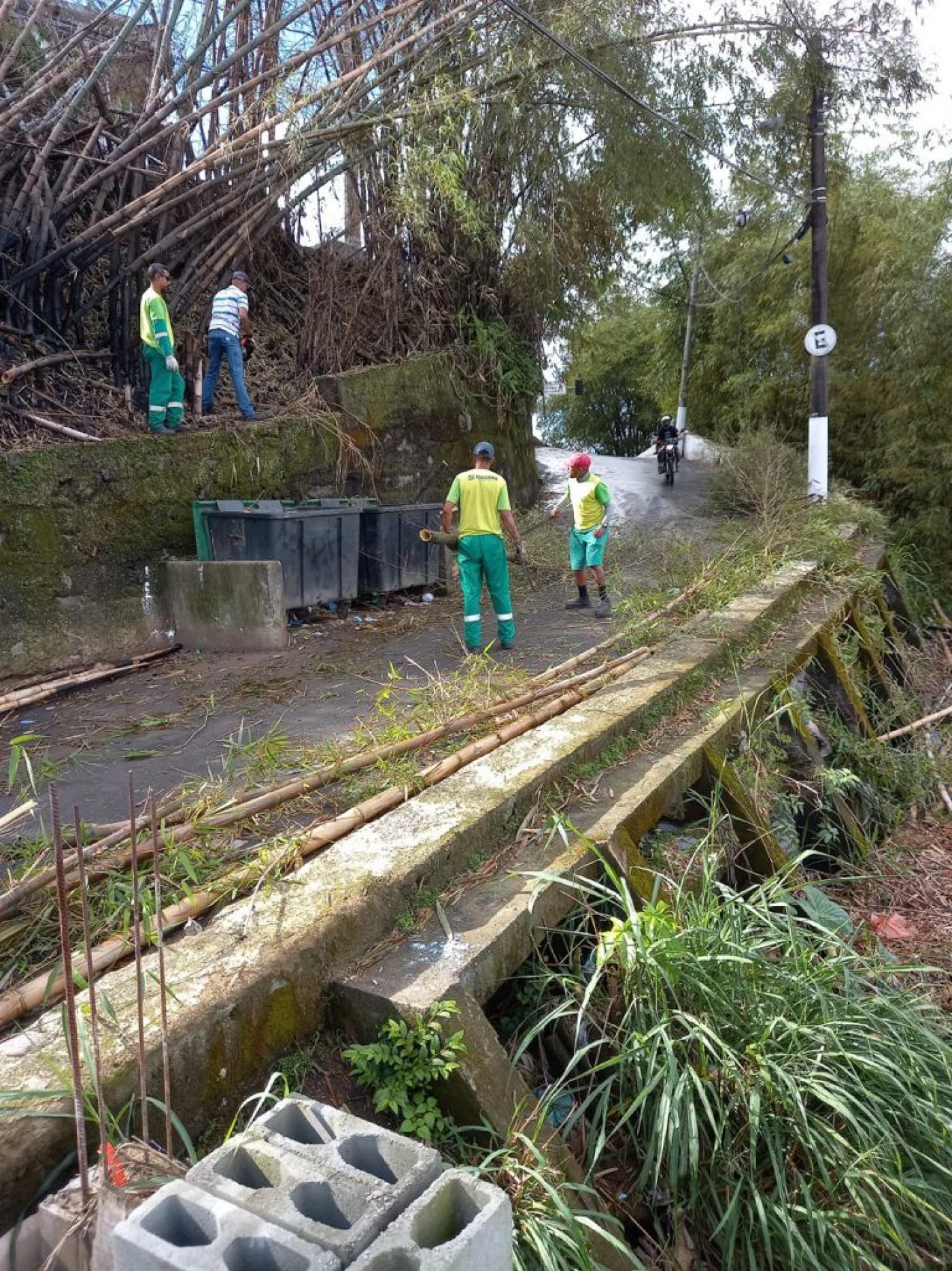 Trabalhadores retiram bambus de via no morro #paratodosverem