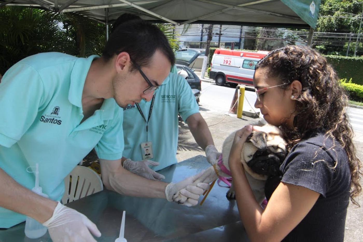 Mulher segura cão para o teste rápido com profissionais. #paratodosverem