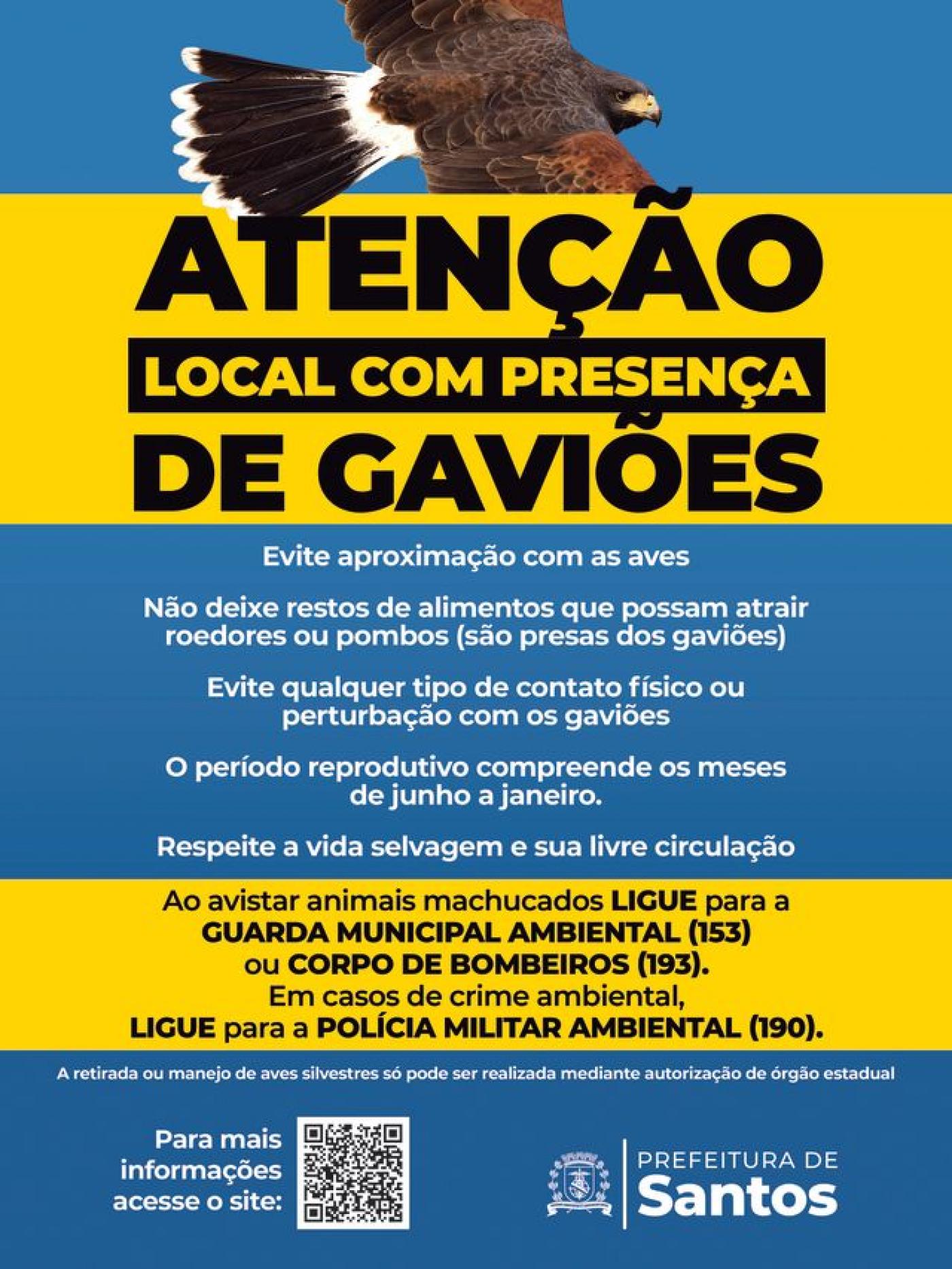 card do evento #paratodosverem 