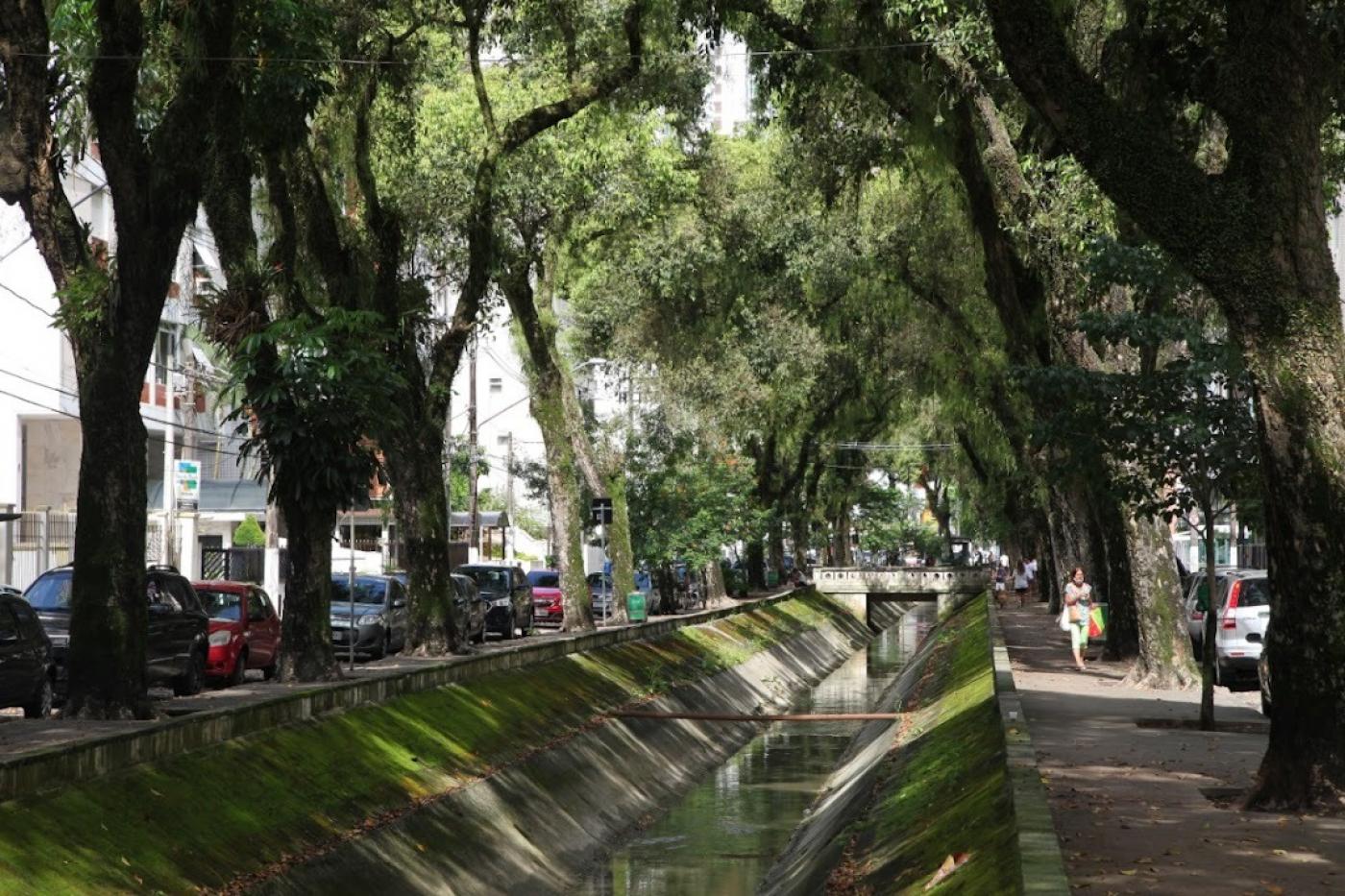 canal em avenida ladeado por árvores. #paratodosverem