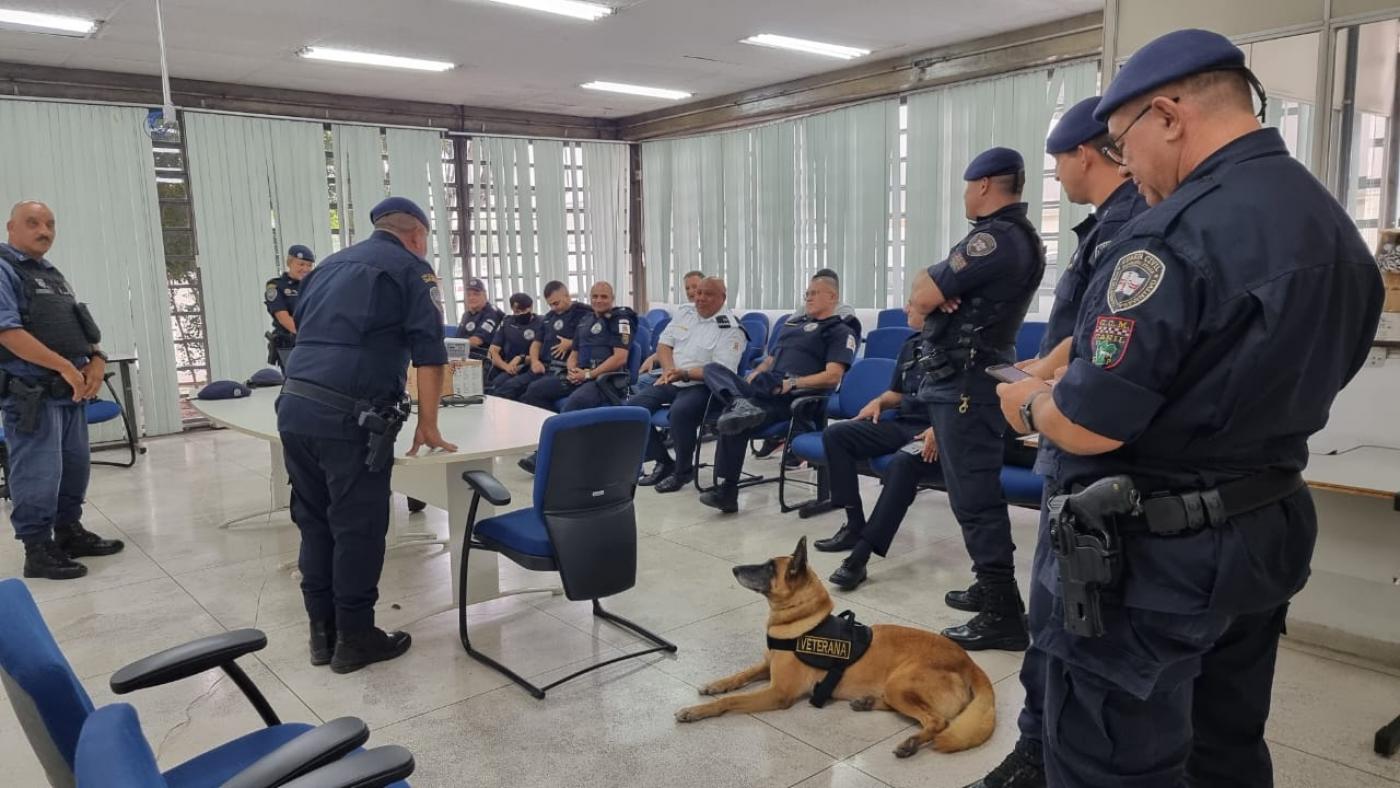 Guarda municipais estão em sala. Alguns estão em pé e outros sentados. Pastor alemão está no chão. #paratodosverem