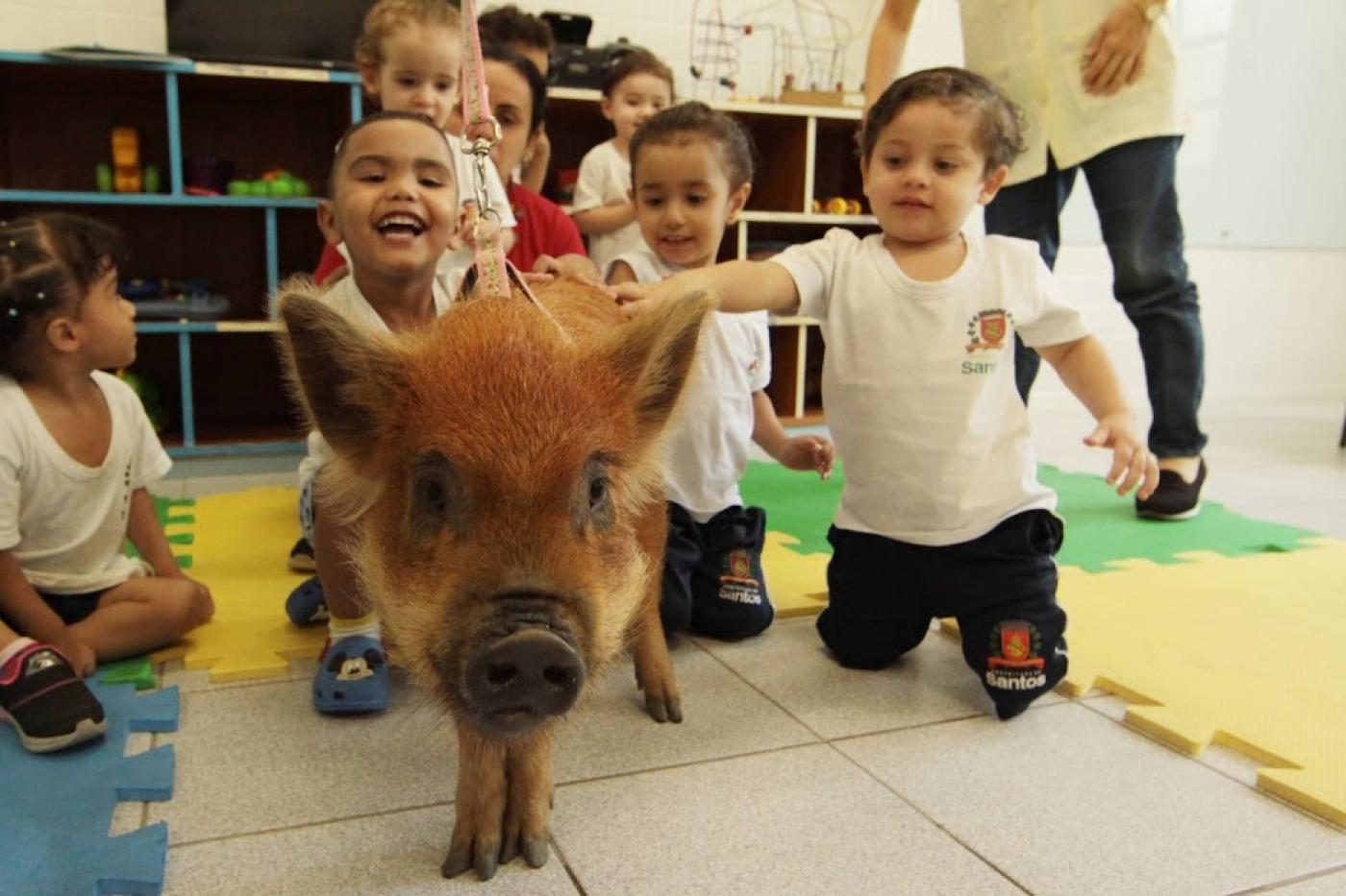 crianças sorriem acariciando porquinha. #paratodosverem