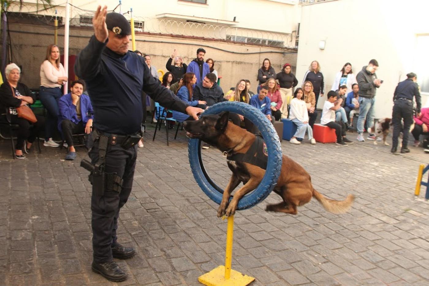 cão passa no meio de roda e olha para o guarda municipal que o adestra. #paratodosverem 