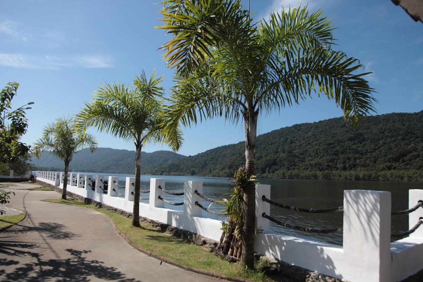 paisagem com árvore #paratodosverem