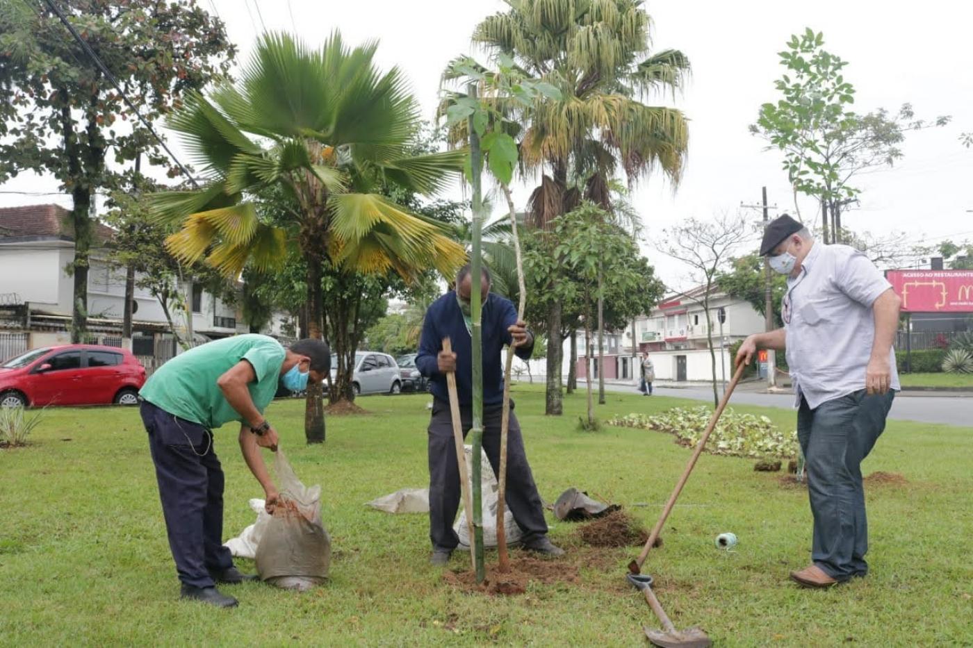 3 homens plantam árvore #paratodosverem 