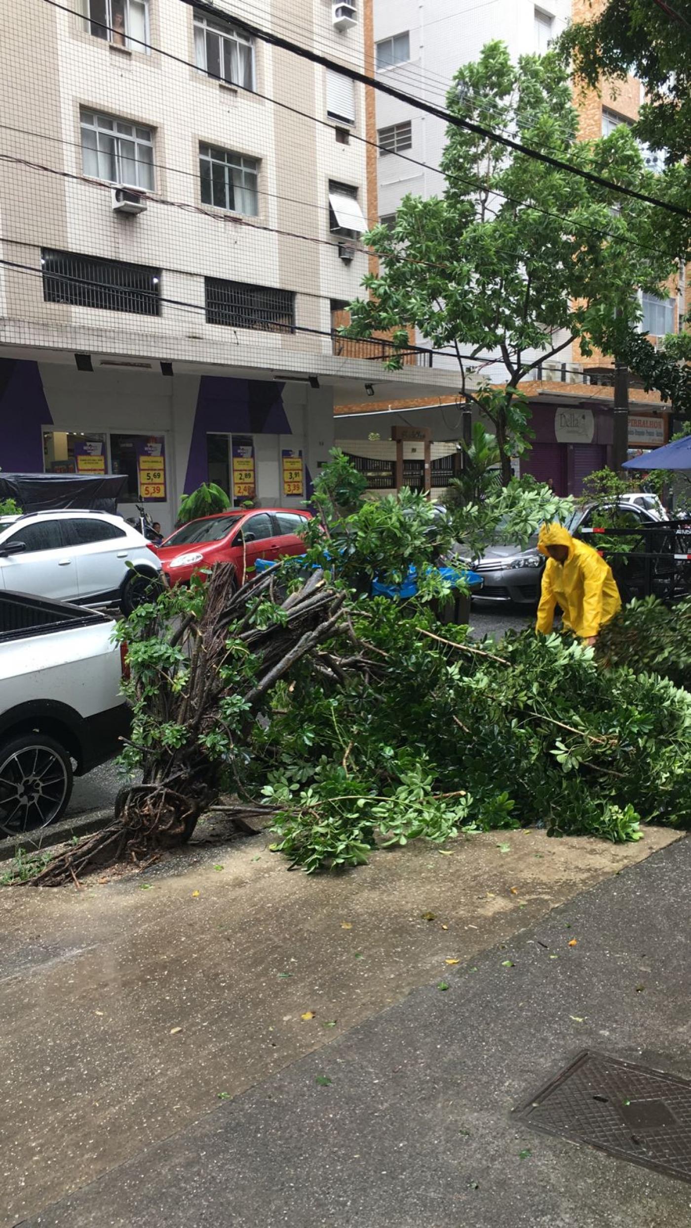 Funcionário retira galhos caídos na calçada da Rua Trabulsi. #pratodosverem